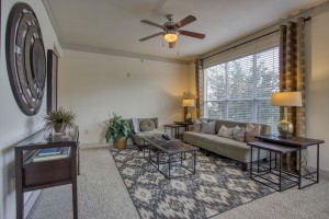 Three Bedroom Apartments for rent in San Antonio, TX - Model Living Room 